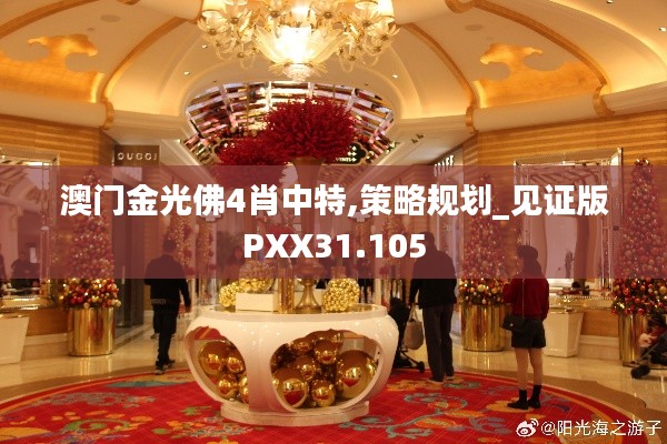 澳门金光佛4肖中特,策略规划_见证版PXX31.105