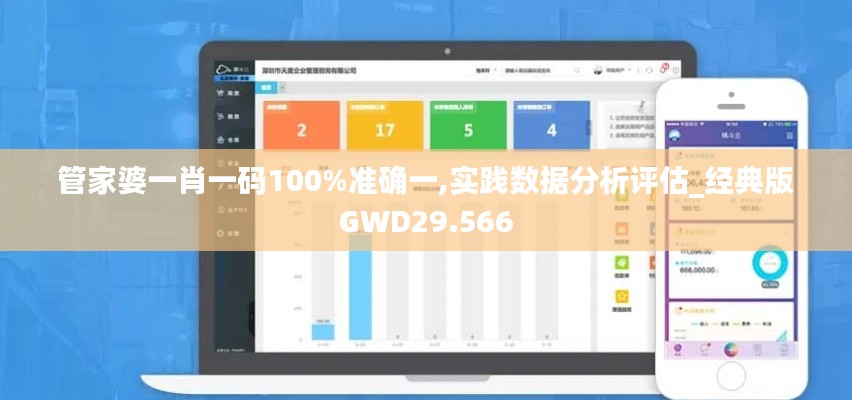 管家婆一肖一码100%准确一,实践数据分析评估_经典版GWD29.566