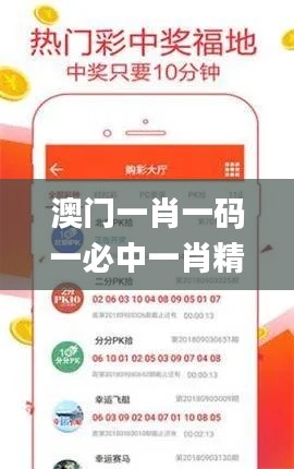 澳门一肖一码一必中一肖精华区,资源部署方案_多媒体版ZRE56.618