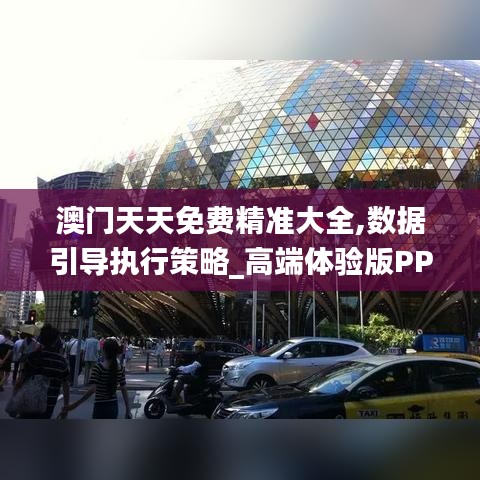 澳门天天免费精准大全,数据引导执行策略_高端体验版PPS48.513