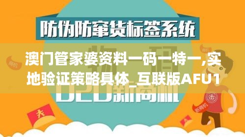 澳门管家婆资料一码一特一,实地验证策略具体_互联版AFU11.760