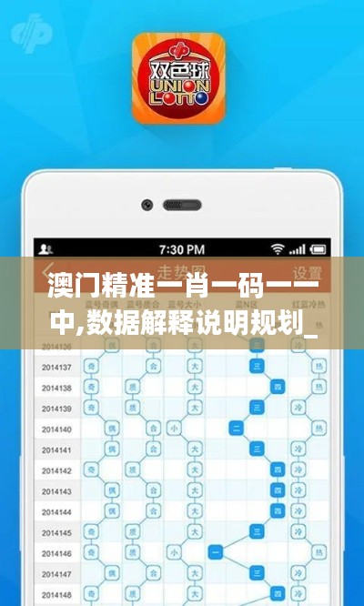 澳门精准一肖一码一一中,数据解释说明规划_高效版GXV82.928