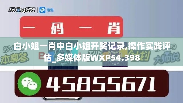 白小姐一肖中白小姐开奖记录,操作实践评估_多媒体版WXP54.398