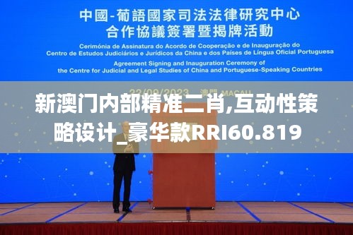 新澳门内部精准二肖,互动性策略设计_豪华款RRI60.819