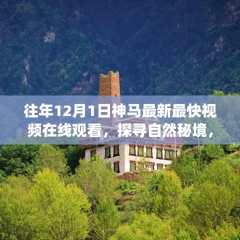黜衣缩食 第4页