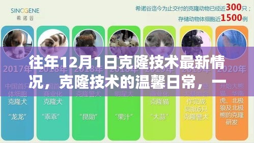 芒屩布衣 第4页