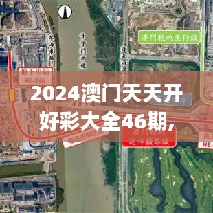 2024澳门天天开好彩大全46期,高效解答解释定义_WP73.796-9