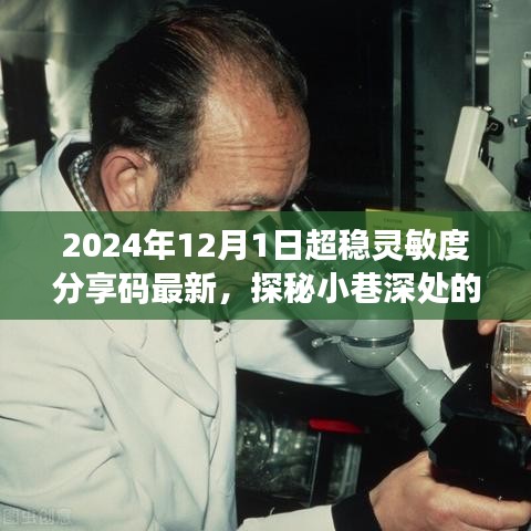 探秘隐藏宝藏，揭秘特色小店最新分享码与超稳灵敏度特色体验（2024年）