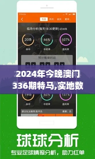 2024年今晚澳门336期特马,实地数据评估分析_ZER40.699多媒体版