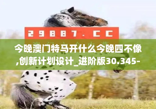 今晚澳门特马开什么今晚四不像,创新计划设计_进阶版30.345-6