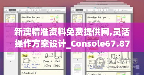 新澳精准资料免费提供网,灵活操作方案设计_Console67.877-2