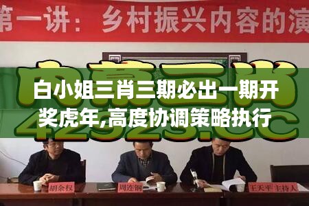 白小姐三肖三期必出一期开奖虎年,高度协调策略执行_进阶版191.862-7