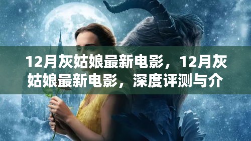 鸢飞鱼跃 第4页