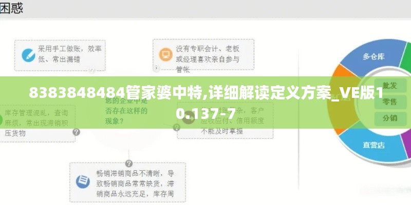 8383848484管家婆中特,详细解读定义方案_VE版10.137-7