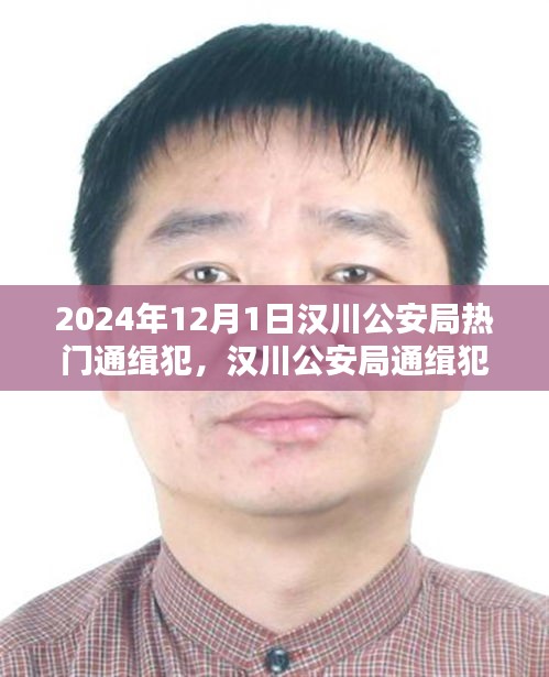 深度解析 第11页