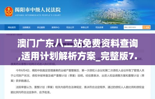 澳门广东八二站免费资料查询,适用计划解析方案_完整版7.163-5