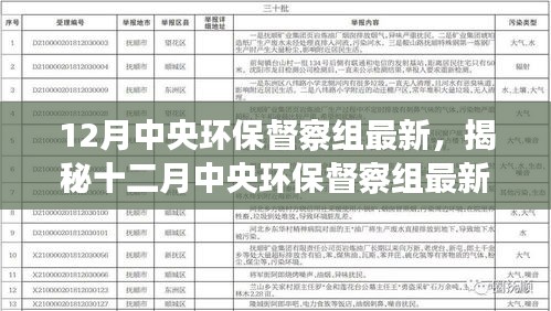 揭秘十二月中央环保督察组最新动态，共建绿色家园，环保行动进行时