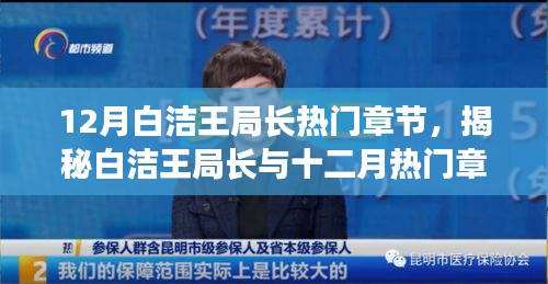 揭秘白洁王局长十二月背后的故事与启示，热门章节探寻之旅