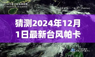 猜测2024年12月1日最新台风帕卡情况，台风帕卡的奇幻追踪，一场温馨的日常冒险