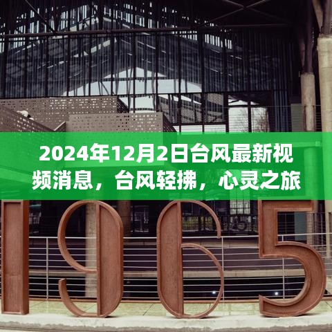 台风轻拂的心灵之旅，追寻自然美景与内心平静的冒险（最新视频消息）