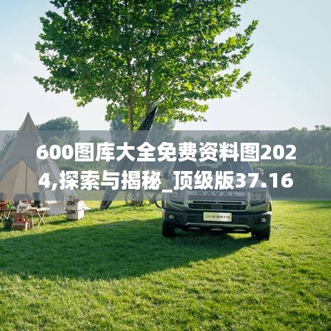 600图库大全免费资料图2024,探索与揭秘_顶级版37.166-3