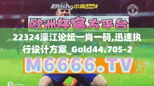 22324濠江论坛一肖一码,迅速执行设计方案_Gold44.705-2