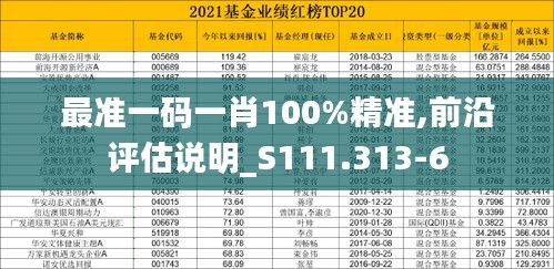 最准一码一肖100%精准,前沿评估说明_S111.313-6