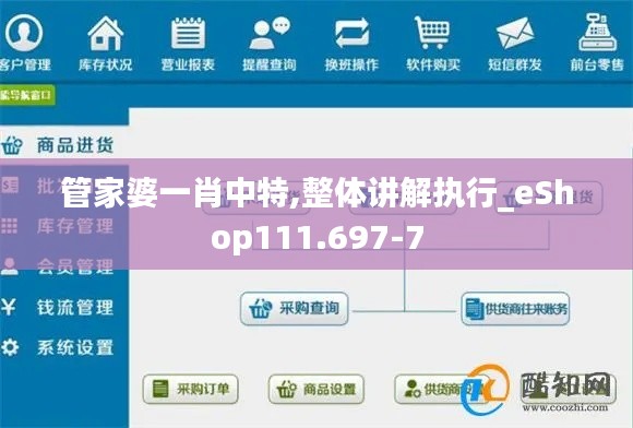 管家婆一肖中特,整体讲解执行_eShop111.697-7