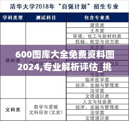 600图库大全免费资料图2024,专业解析评估_挑战版11.960-1