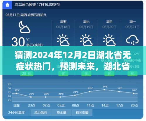 湖北省无症状热门产品深度解析与未来预测