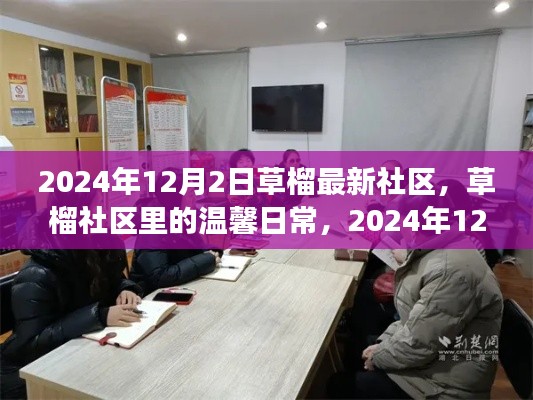 草榴社区温馨日常，趣事与友情的记录（2024年12月2日）