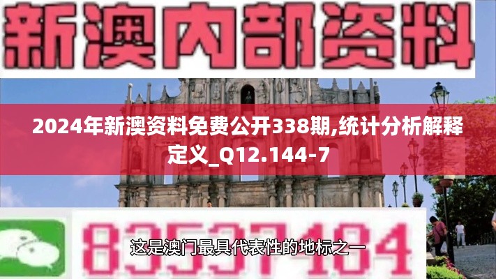2024年新澳资料免费公开338期,统计分析解释定义_Q12.144-7