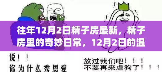 12月2日精子房的奇妙日常与温馨故事