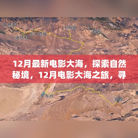 12月电影大海之旅，探索自然秘境，寻觅内心宁静与微笑
