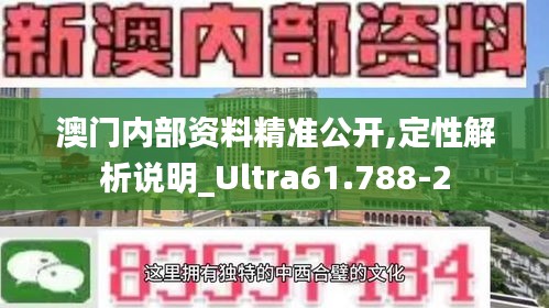 澳门内部资料精准公开,定性解析说明_Ultra61.788-2