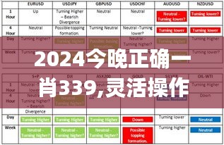 2024今晚正确一肖339,灵活操作方案设计_超值版190.856-2