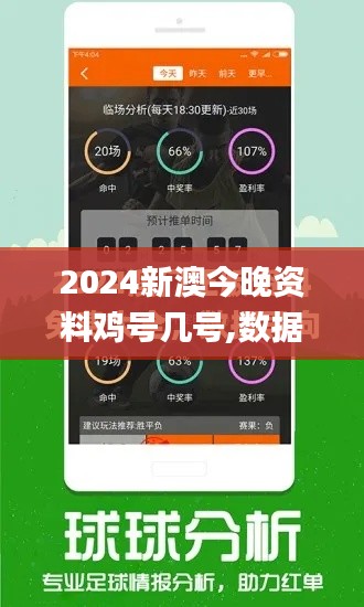 2024新澳今晚资料鸡号几号,数据整合执行设计_V版74.505-2