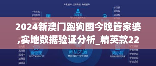 2024新澳门跑狗图今晚管家婆,实地数据验证分析_精英款22.923-6