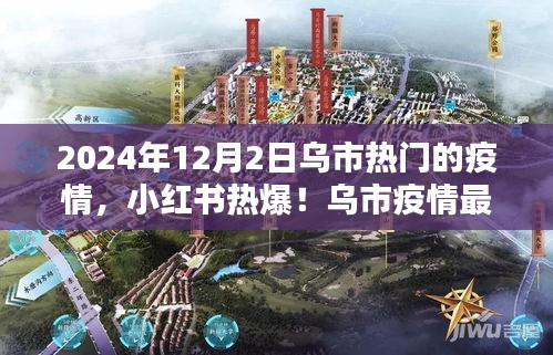 乌市疫情热点解析，小红书热议的疫情动态与最新动态（2024年12月2日）