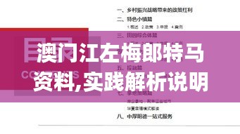 澳门江左梅郎特马资料,实践解析说明_Ultra53.135-5