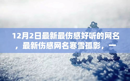 最新伤感网名精选，寒雪孤影——时代情感印记