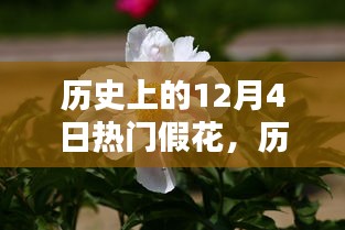 玉树临风 第3页