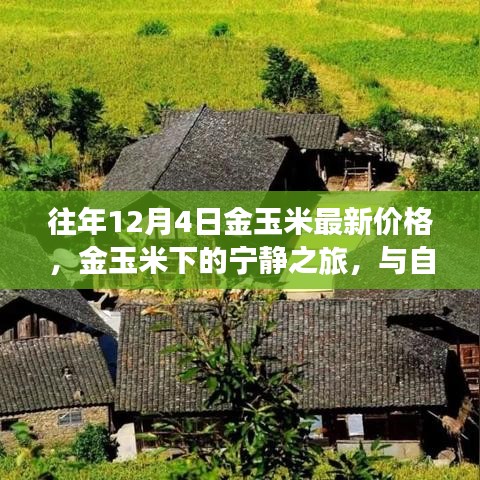 神清气朗 第4页