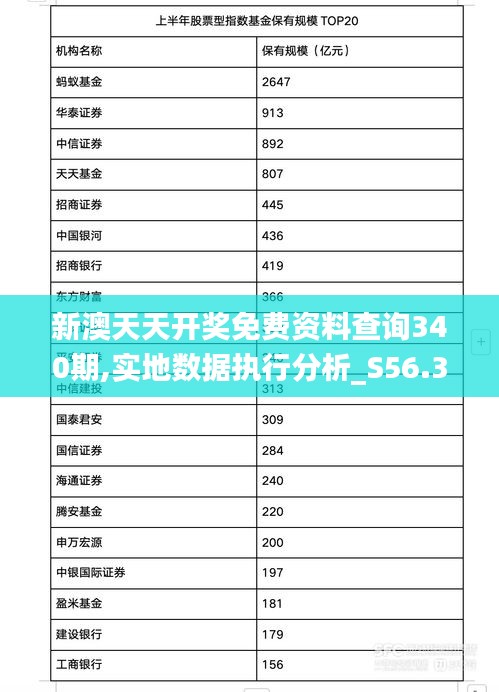 新澳天天开奖免费资料查询340期,实地数据执行分析_S56.330-2