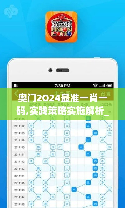 奥门2O24最准一肖一码,实践策略实施解析_桌面版78.391