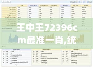 王中王72396cm最准一肖,统计分析解析说明_网页款70.766