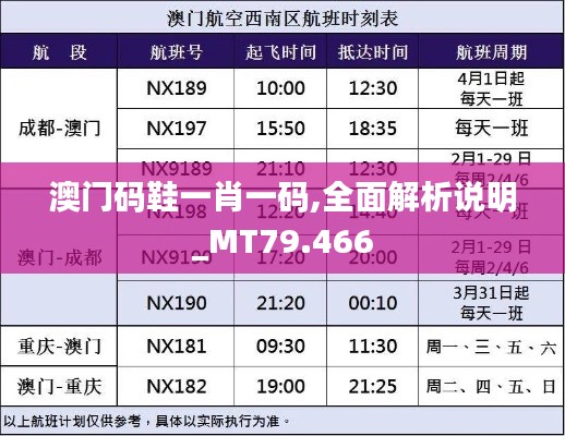 澳门码鞋一肖一码,全面解析说明_MT79.466