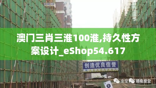 澳门三肖三淮100淮,持久性方案设计_eShop54.617