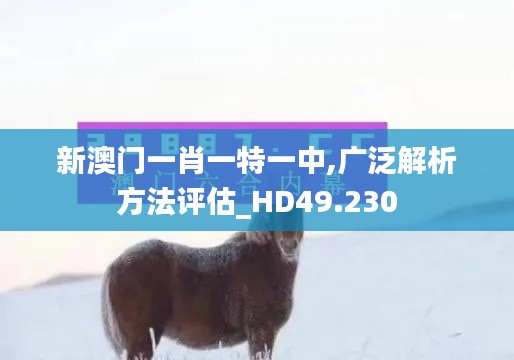 新澳门一肖一特一中,广泛解析方法评估_HD49.230