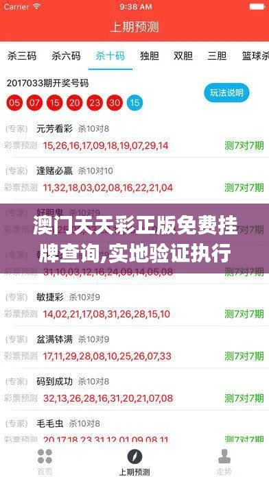 澳门天天彩正版免费挂牌查询,实地验证执行数据_uShop82.524
